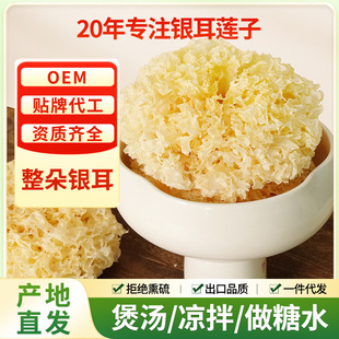 ���������y��1kg���x���r��؛�o��ܛŴ�S�����ľ�����l�Y�|�Rȫ