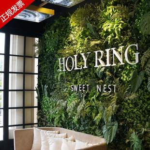 Plant Wall Green Plant Wall Decoration Turf Lawn Background Wall Green Artificial Indoor Fake Grass Door Head Popular