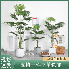 熱帯シミュレーション植物カリフォルニア州蒲葵鉢植え室内着地円葉扇葵偽樹緑植シミュレーション唐ブラウン葵