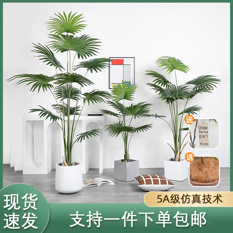 熱帯シミュレーション植物カリフォルニア州蒲葵鉢植え室内着地円葉扇葵偽樹緑植シミュレーション唐ブラウン葵|undefined