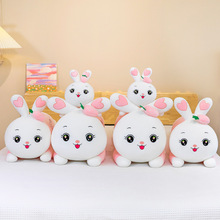 ��ܛ��ݮſſ�����L�l���^ë�q��߿ɐ۱���A�ȴ���˯�XŮ����ͯ