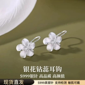 耳钉;耳环;项链