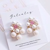 Classic fashionable elegant earrings for princess from pearl