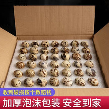 ���r�g���������Gɫ�s�Z���r���ЋD�����oʳ�g�������B���r�g����