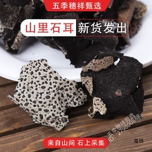 ʯҰ؛aʯҶض˟ҜʯľĚ¸