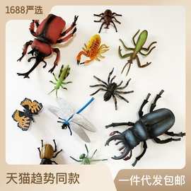 高仿真昆虫动物模型静态实心独角仙蜜蜂蝴蝶儿童科教认知玩具摆件