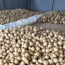 ��Ȼ����Jһ��؛Դ���l�ؔ�������湤ˇƷ�[��ԭƤ���J�S��ֱ�N