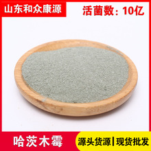 全水溶哈茨木霉10亿 抑菌多种真菌土传病害桔抗木霉菌工厂直销