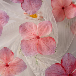 Hydrangea Suction Color Baffle Dried Flowers diy Greeting Cards Bookmark Glue Dropping Jewelry Accessories Aromatherapy Candle Accessories Embossed Dried Leaves