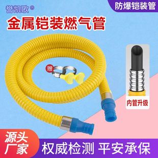Armored gas pipe Golden corrugated pipe Natural gas cooker Gas liquefied gas hose Explosion-proof armored pipe