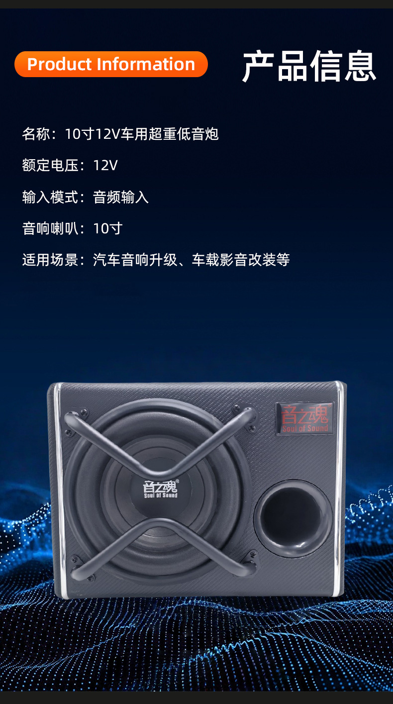 10-Inch 12V Car Subwoofer, Active Car Subwoofer, 12V Audio System, Direct Sales from the Manufacturer