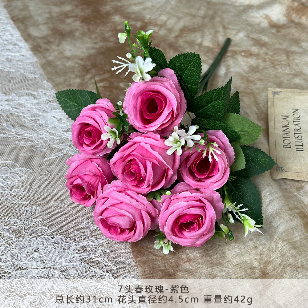 RLY-7 rosas de primavera-púrpura