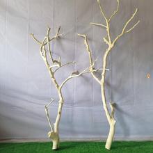 干树枝原木杈艺术干枝枯枝枯木树干鸟架造型壁挂衣架吊顶树枝装跨