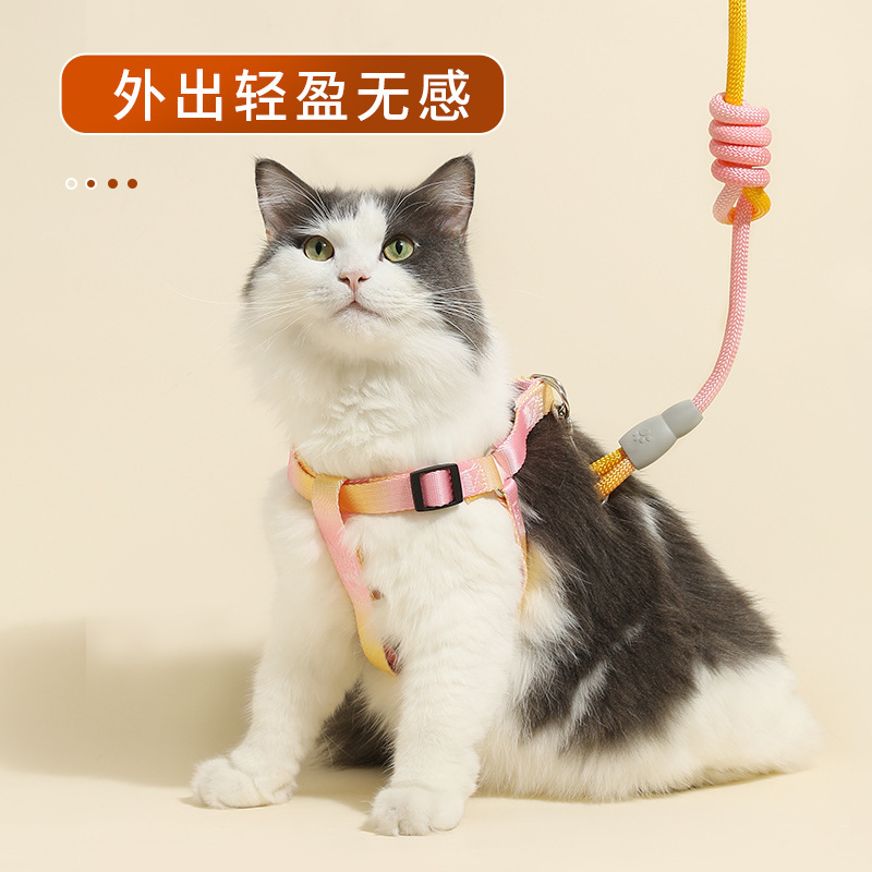 Cuerdas de tracción coloridas transfronterizas para perros con cinturón de pecho graduado para mascotas, cuerda de perro para caminar, cuerda de perro anti-desprendimiento para mascotas