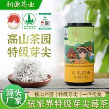50克正宗张家界莓茶特级芽尖莓茶藤茶龙须茅岩霉茶茶叶一件代发