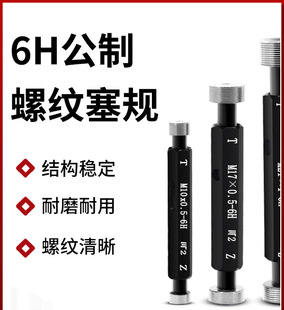 6H Metric Internal Thread Plug Gauge Pass/Fail Gauge Internal Thread Inspection Tool Fine Thread Coarse Thread Gauge Non-Standard Custom M1-60