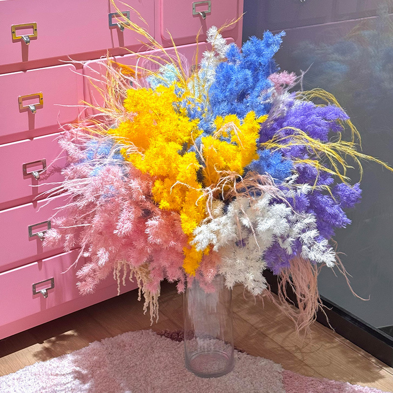 网红蓬莱松花束抖音小红书彩色永生花居家客厅婚礼喜庆场景布置