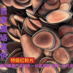 鹿の角スライス卸売吉林省鹿の角赤ピンクスライス血液スライスワックススライス鹿の角乾燥スライス骨スライススープ材料