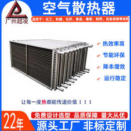 蒸汽加热盘管木材烘干导热油加热器冷却器气水换热器蔬菜脱水