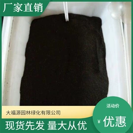 其他园林植物;水生植物;灌木