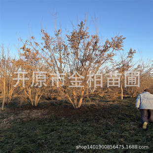 �|����l�����l���Ǘ���� ������l��3-8�״���l�����ԾG�h��