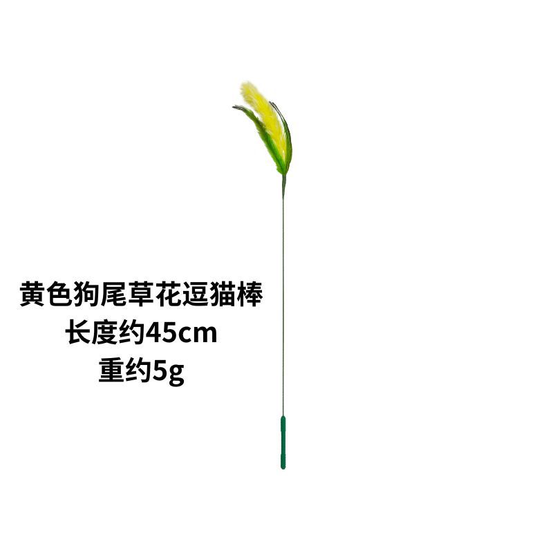 노란색 세타리아 꽃 재미 있은 고양이 스틱