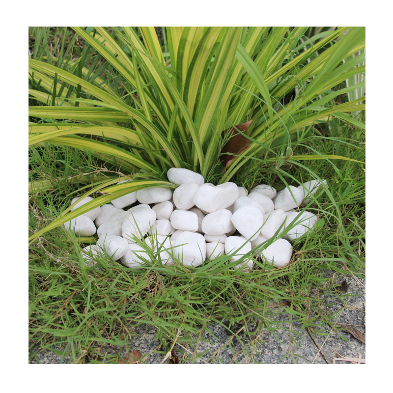 ɫɫ껨ʯ|԰·ʯˮϺʯʯ