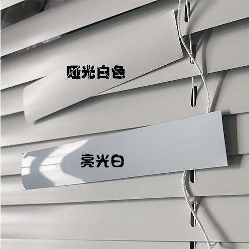 매트 화이트(인기 사진 배경)