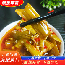 芋苗酸咸菜广西特产梗芋头梗农家禾苗梗芋荷梗开胃下饭菜酸辣爽口