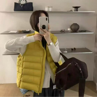 2026�궬���¿��OӋ��С�����R�������R�A�����p���Ź����R��Ů