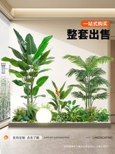 �Gֲ�M���쾰�������̈��Ꭷ��ֲ�ﾰ�^�٘��҃������b[��