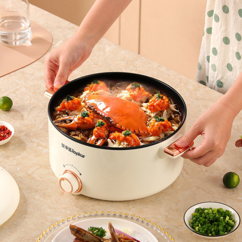 Rongshida Electric Cooking Pot Multifunctional Integrated Electric Hot Pot Activity Gift Electric Stove Direct Sales from Source Factory Hot Pot