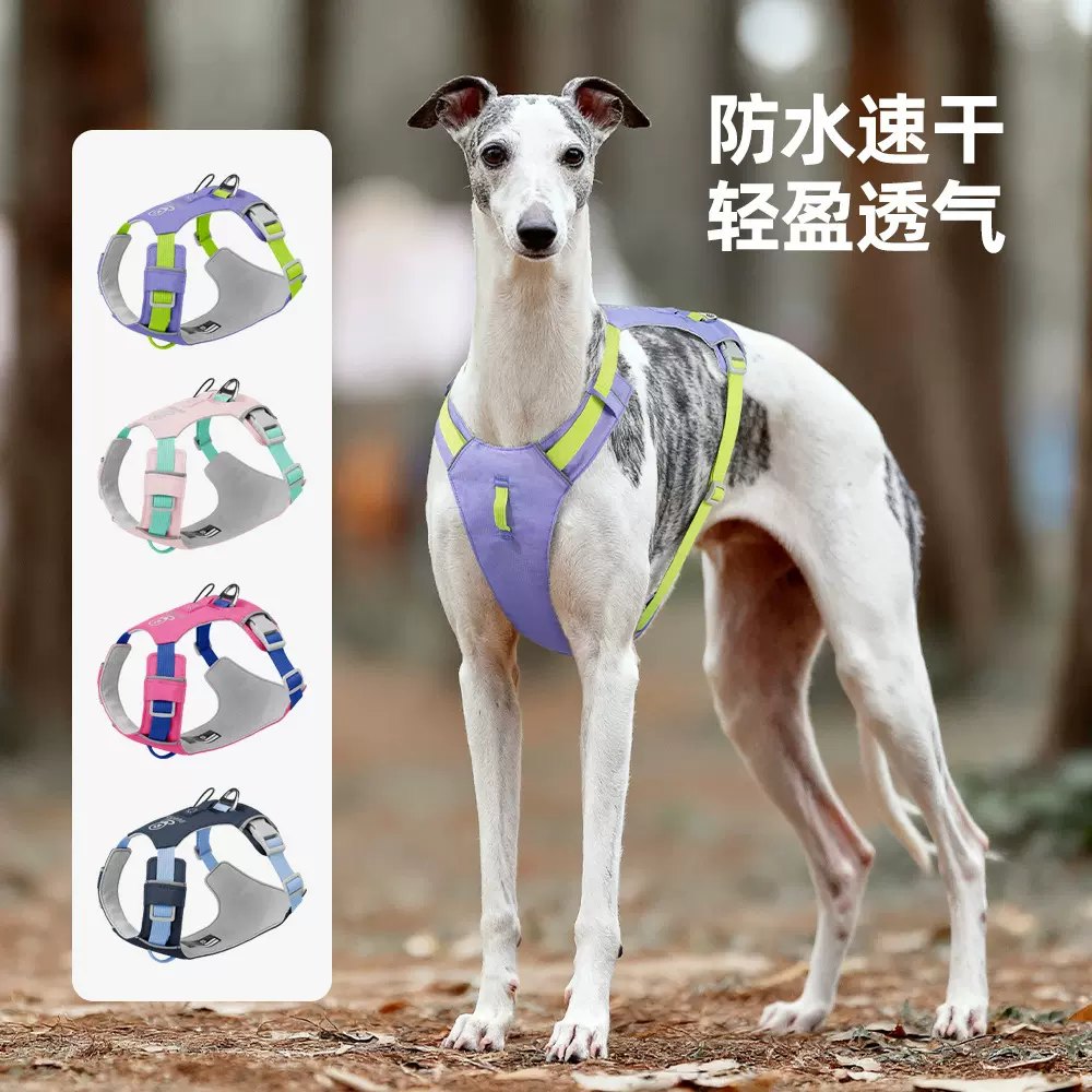 轻量狗狗胸背大牌平替户外小狗胸背带撞色织带宠物牵引速干防挣脱