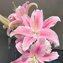 �r����ϻ���ֱ�l���^�ٺϻ�õ���r�л��Y�����˹��������l������