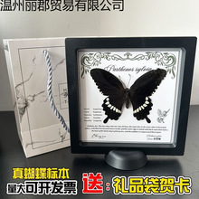 ������˱��Ҹ������Ҿ����w�b[��
