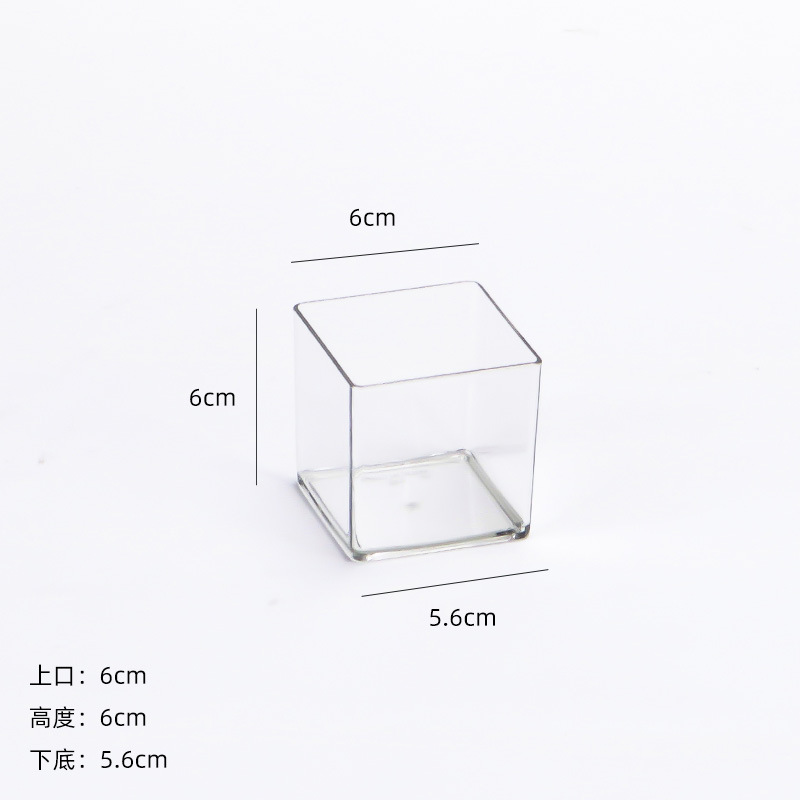 Caja transparente cuadrada acrílica, caja de almacenamiento de cubo de flores de una pieza, flores de escritorio, planta verde, arreglo floral, recipiente hidropónico
