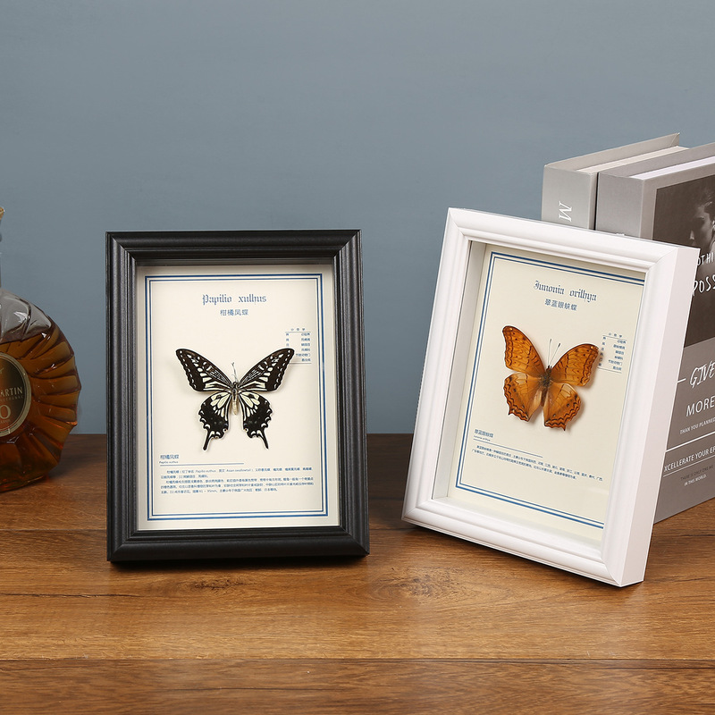Butterfly Picture Frame Hollow Photo Frame Specimen Frame Insect Wooden Display Stand DIY Glass Display Frame Mirror Frame European Classical Style Butterfly Picture Frame Hollow Photo Frame Specimen Frame Insect Wooden Display Stand DIY Glass Display Frame Mirror Frame European Classical Style