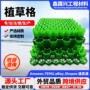 绿化屋顶小区塑料植草格