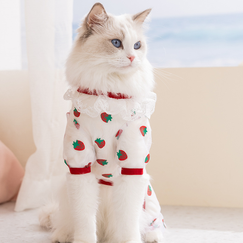26 años de primavera y verano ropa de mascotas delgada malla transpirable ropa de cuatro patas ropa de perro ropa de gato ropa de perro pequeño y medio image 2