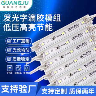Cross-Border Supply of Led Module Brand Chips, Led Lights, Luminous Characters, Advertising Modules, Glue Waterproof Lights, Factory Wholesale