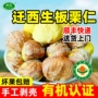 紫玉迁西手工新鲜栗子
