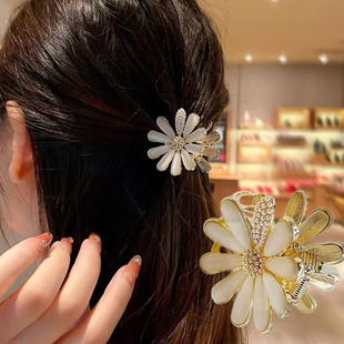 �¿�؈��ʯ�r��Сץ�A���X�װl������lץ�x���l�A�^l����l