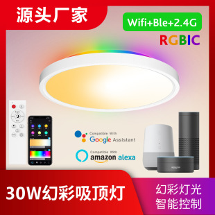 Smart wifi bluetooth remote control dimming color alexa voice modern ultra-thin round rgbcw magic color ceiling light