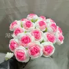 Rose gradient rose red
