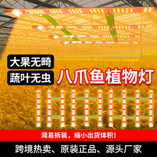 Cross-border Hot Selling LED Plant Growth Light Indoor Greenhouse Full Spectrum High Power Planting Light KJ