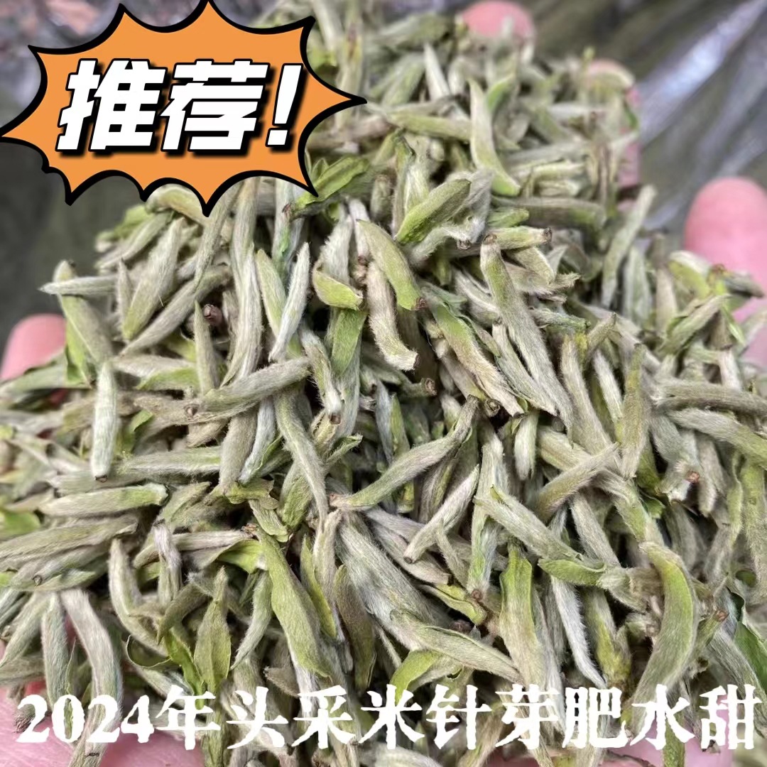 2024年头采米粒芽白毫银针500g 高山日晒白茶银针散茶批发毫香蜜