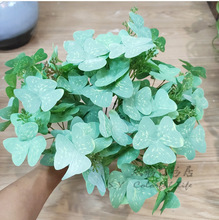 \ b СGֲ滨YĻk@ˇc