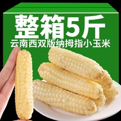 10斤の親指のトウモロコシのモチモチとした新鮮な雲南西双版納香モチモチとした親指のトウモロコシの子供の朝食代食
