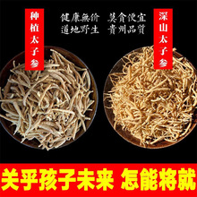 太子参正品煲汤儿童特级孩儿参配麦冬无花果童参双批七四叶参米参