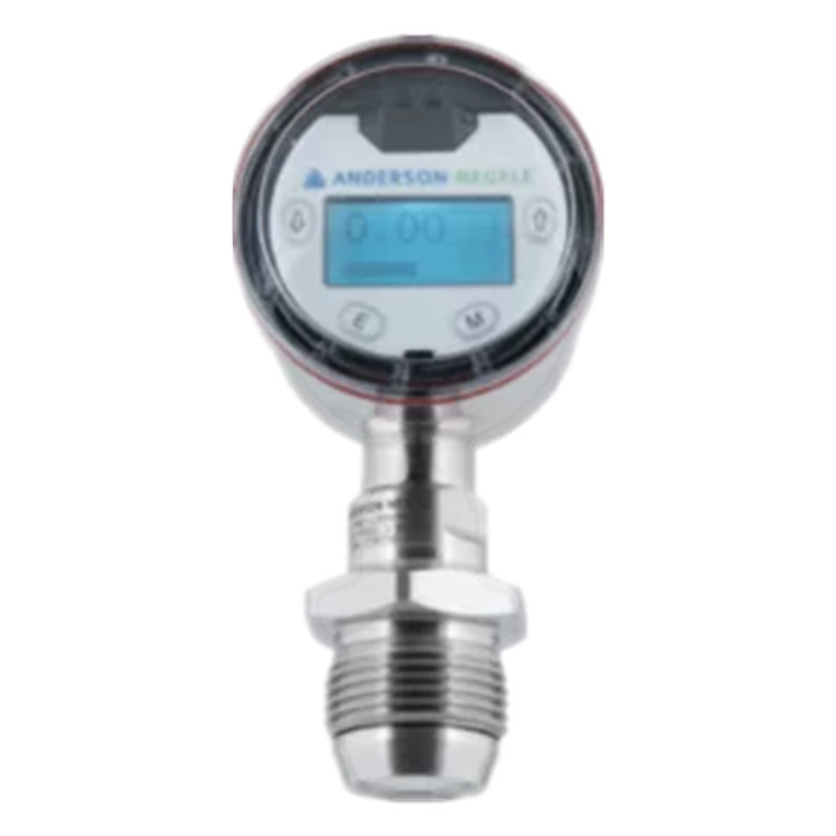 美国NEGELE数字压力表EP